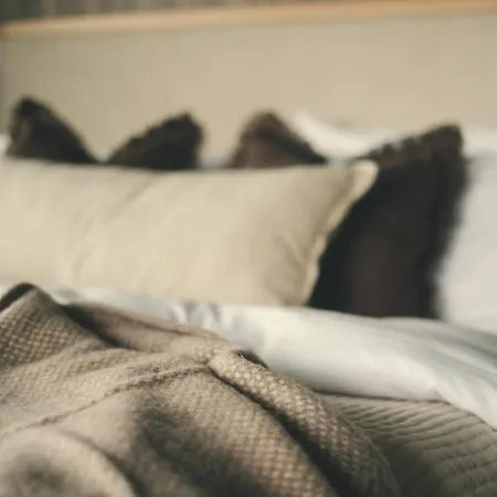 Brimi Fjellstugu * Tessand